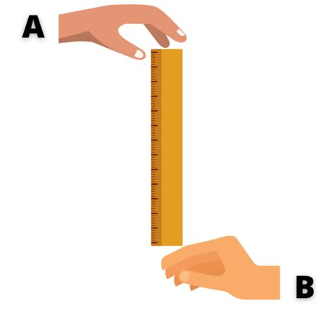 ruler drop test definition